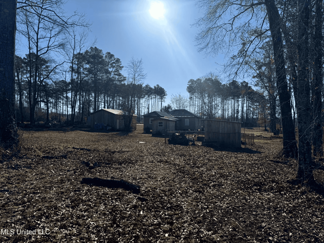 South MS Camp and Land Bordering the National Forest