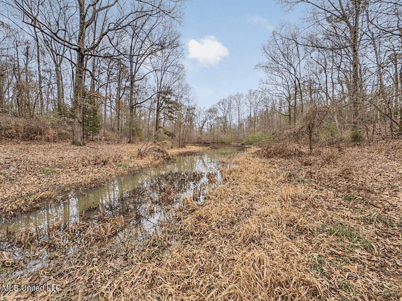 Luxury 5-Bed Home on 22 Acres in Kingston, Natchez, MS