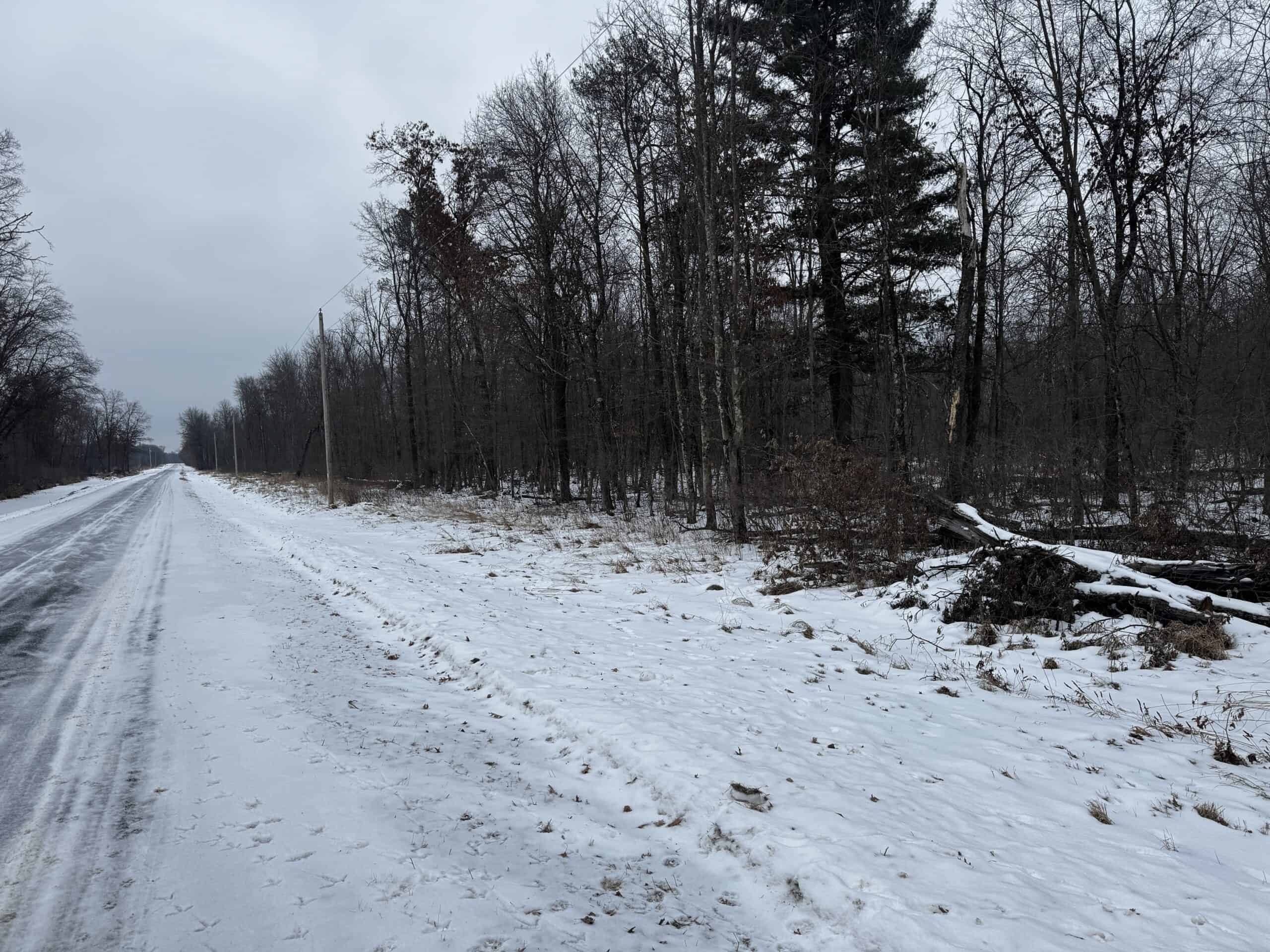 81.54± Acre Parcel in the Town of Clearfield, Juneau County
