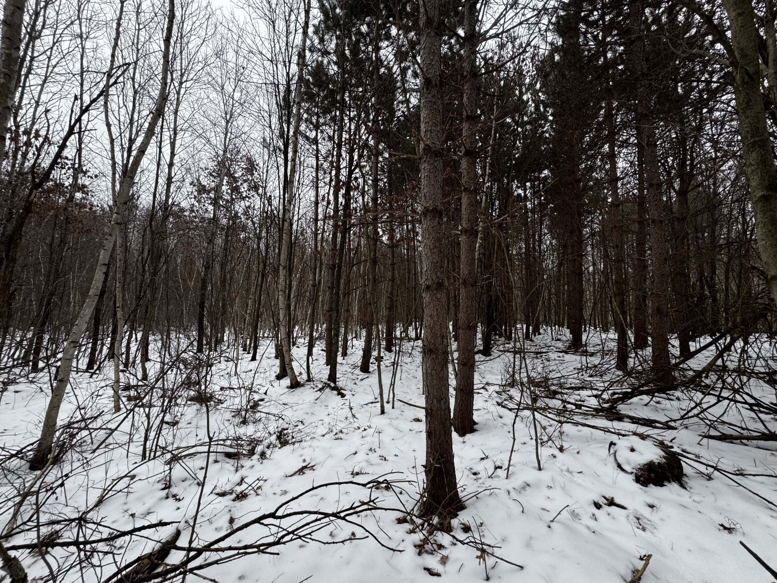 120± Acre Property in the Town of Clearfield, Juneau County