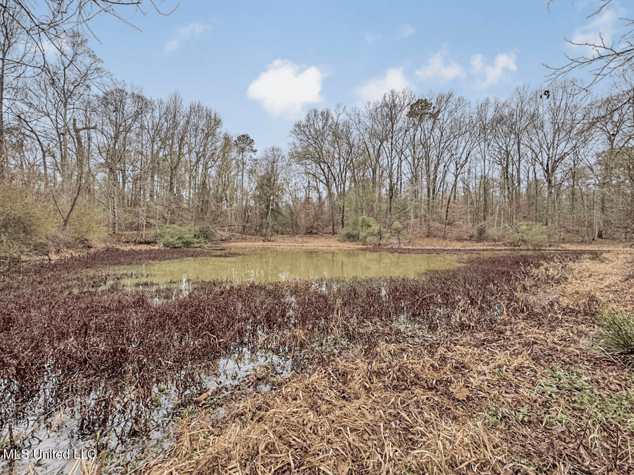 Luxury 5-Bed Home on 22 Acres in Kingston, Natchez, MS