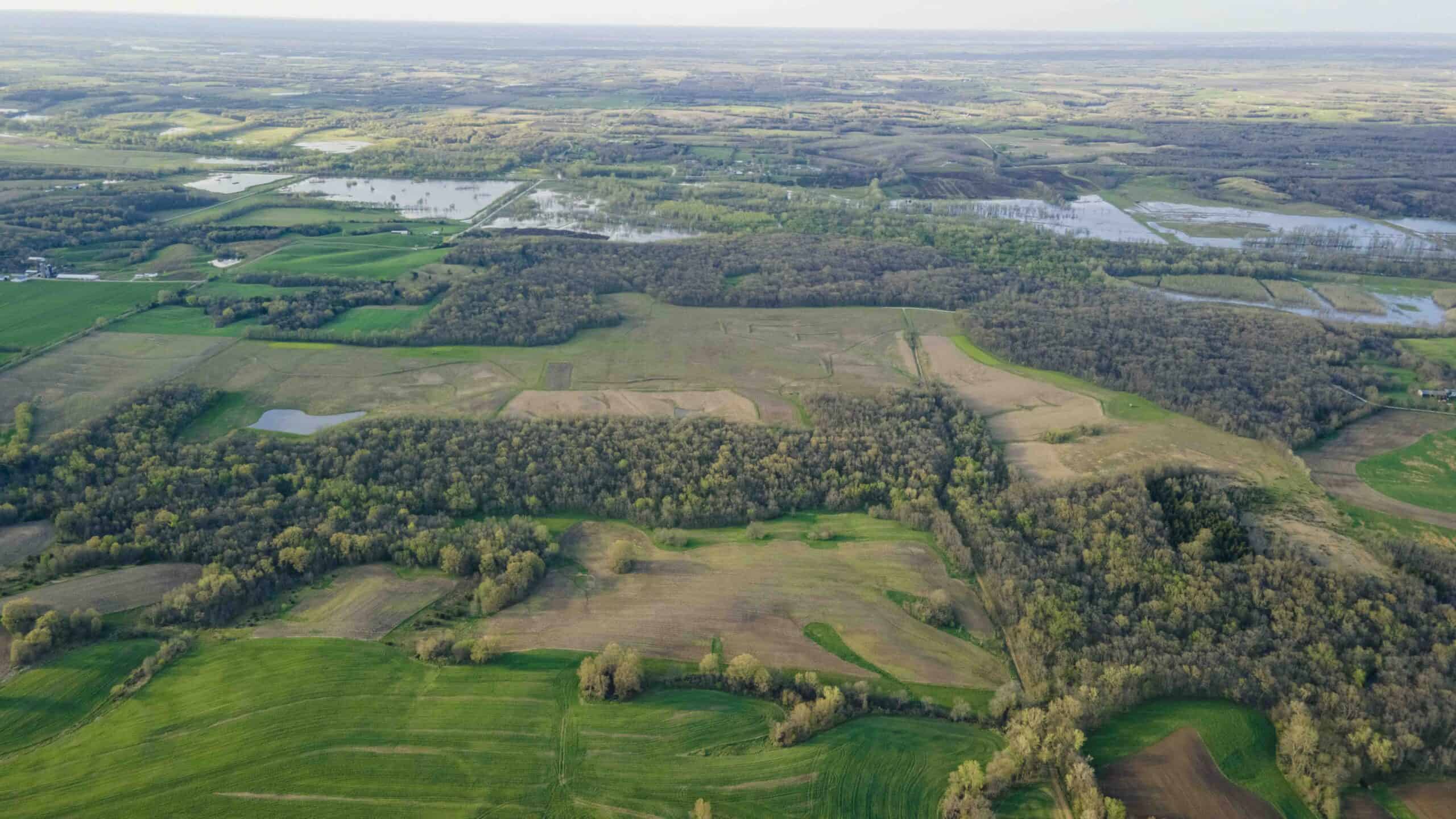 Exceptional Whitetail and Turkey Hunting Paradise in Clark County