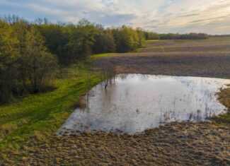 Exceptional Whitetail and Turkey Hunting Paradise in Clark County