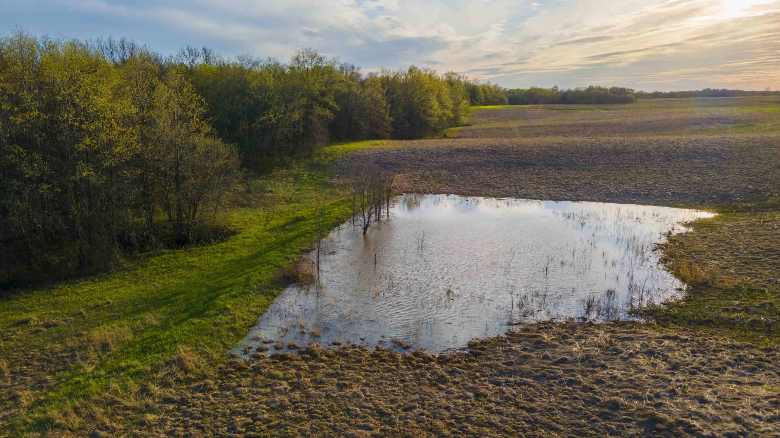 Exceptional Whitetail and Turkey Hunting Paradise in Clark County