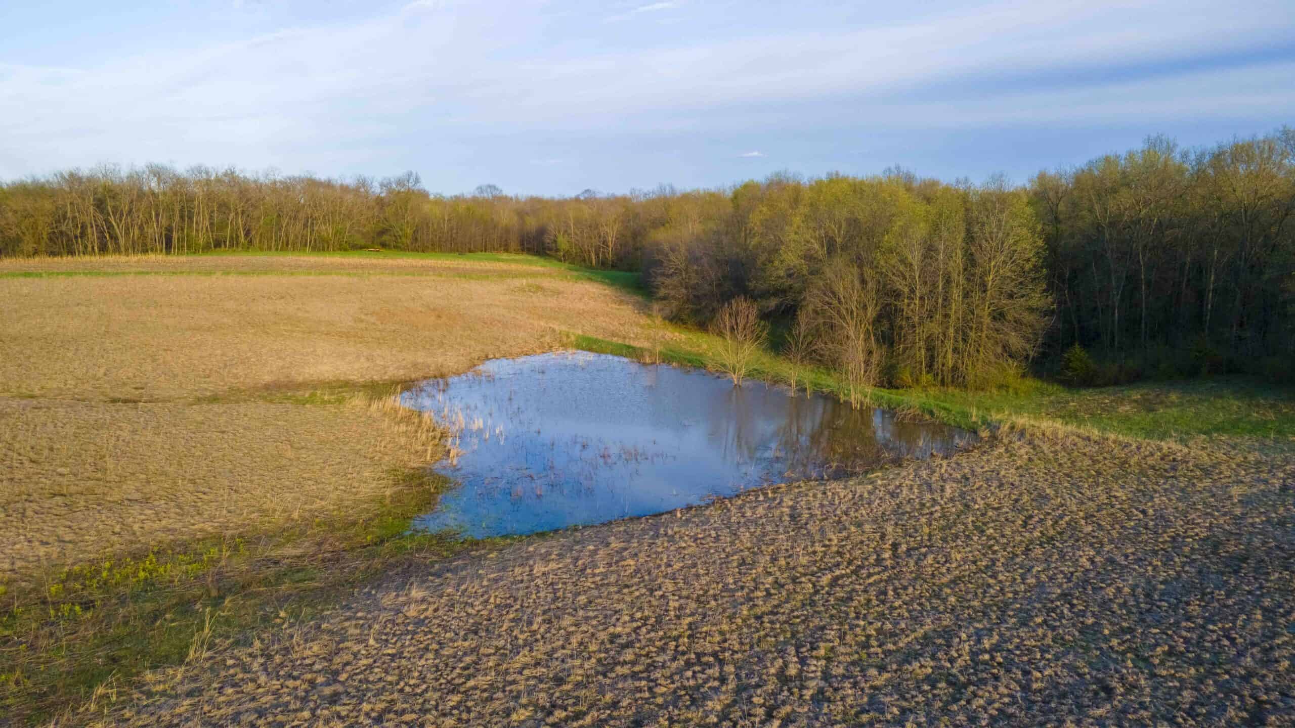 Exceptional Whitetail and Turkey Hunting Paradise in Clark County