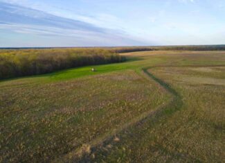 Exceptional Whitetail and Turkey Hunting Paradise in Clark County