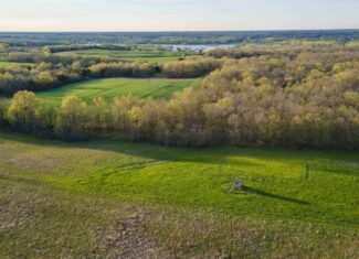 Exceptional Whitetail and Turkey Hunting Paradise in Clark County