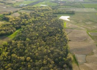 Exceptional Whitetail and Turkey Hunting Paradise in Clark County