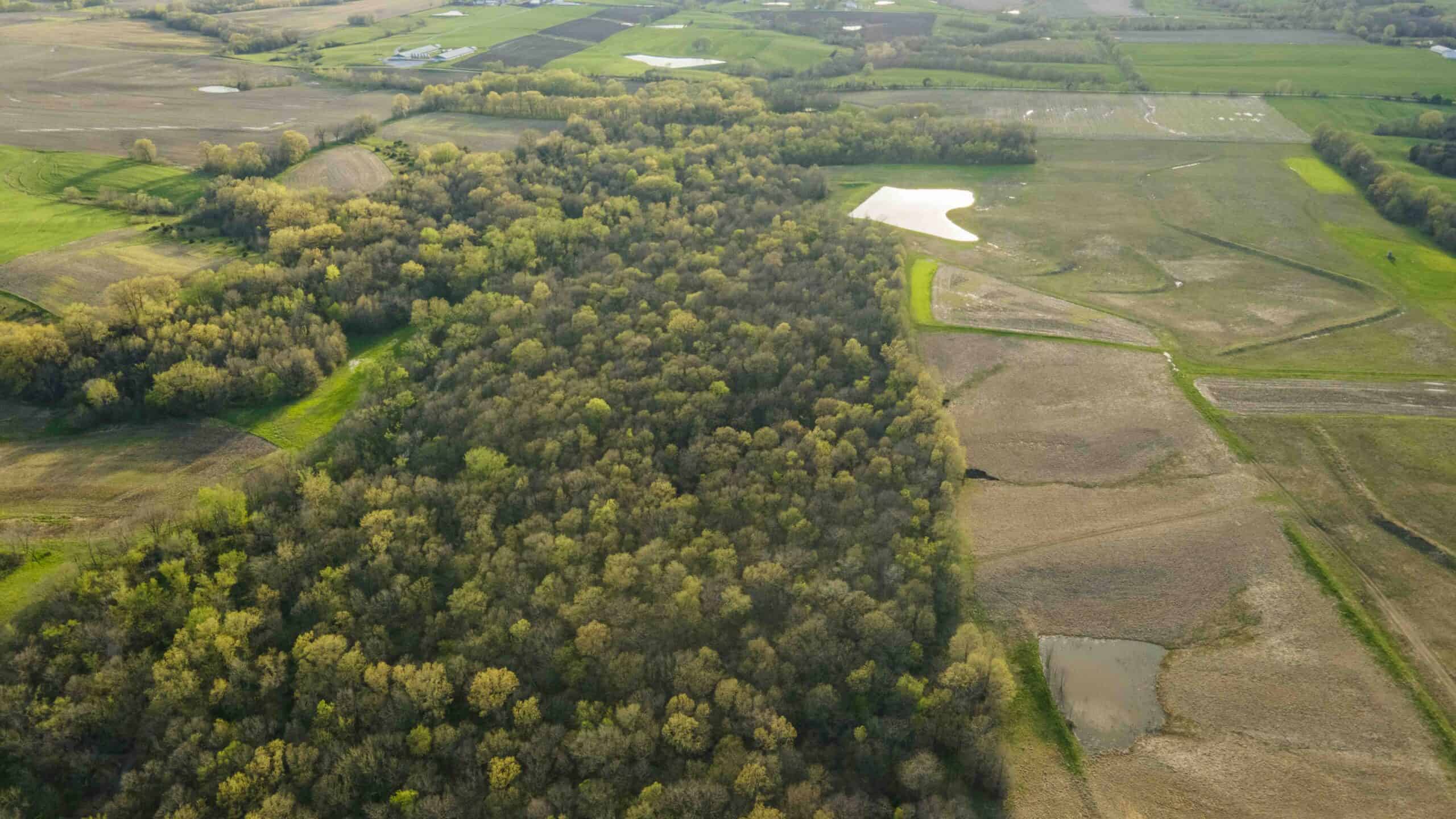 Exceptional Whitetail and Turkey Hunting Paradise in Clark County
