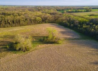Exceptional Whitetail and Turkey Hunting Paradise in Clark County