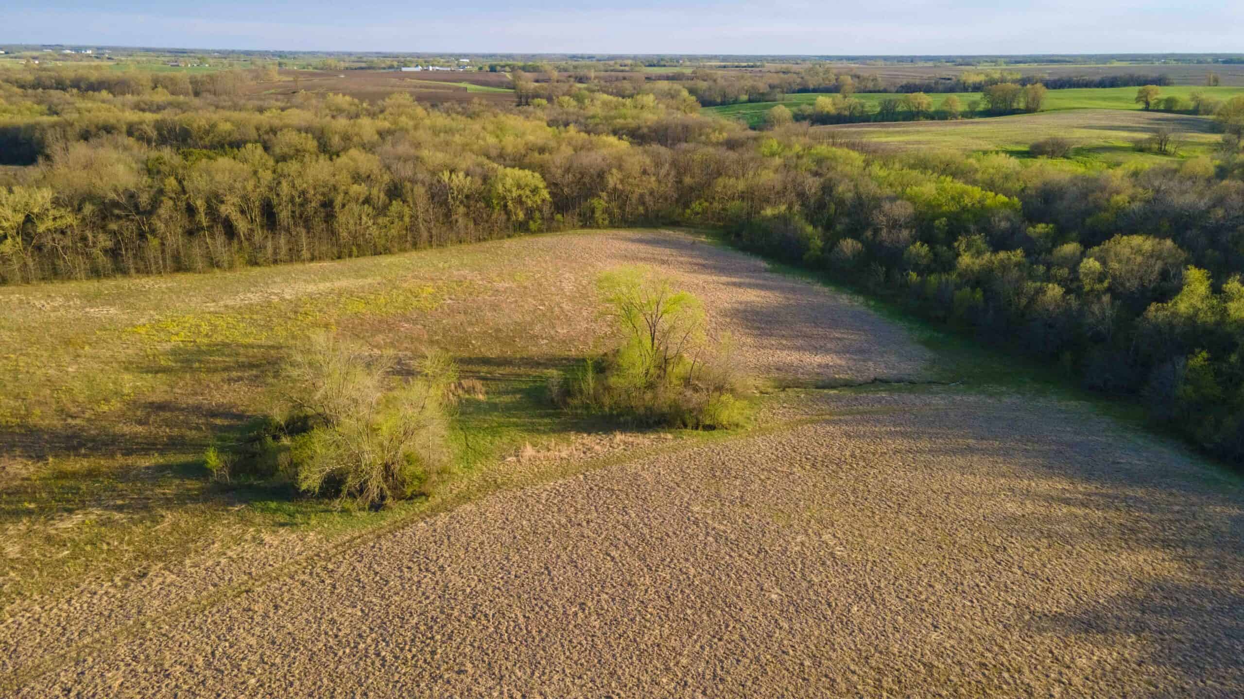 Exceptional Whitetail and Turkey Hunting Paradise in Clark County