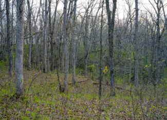 Premier Hunting Parcel in Clark County, Missouri