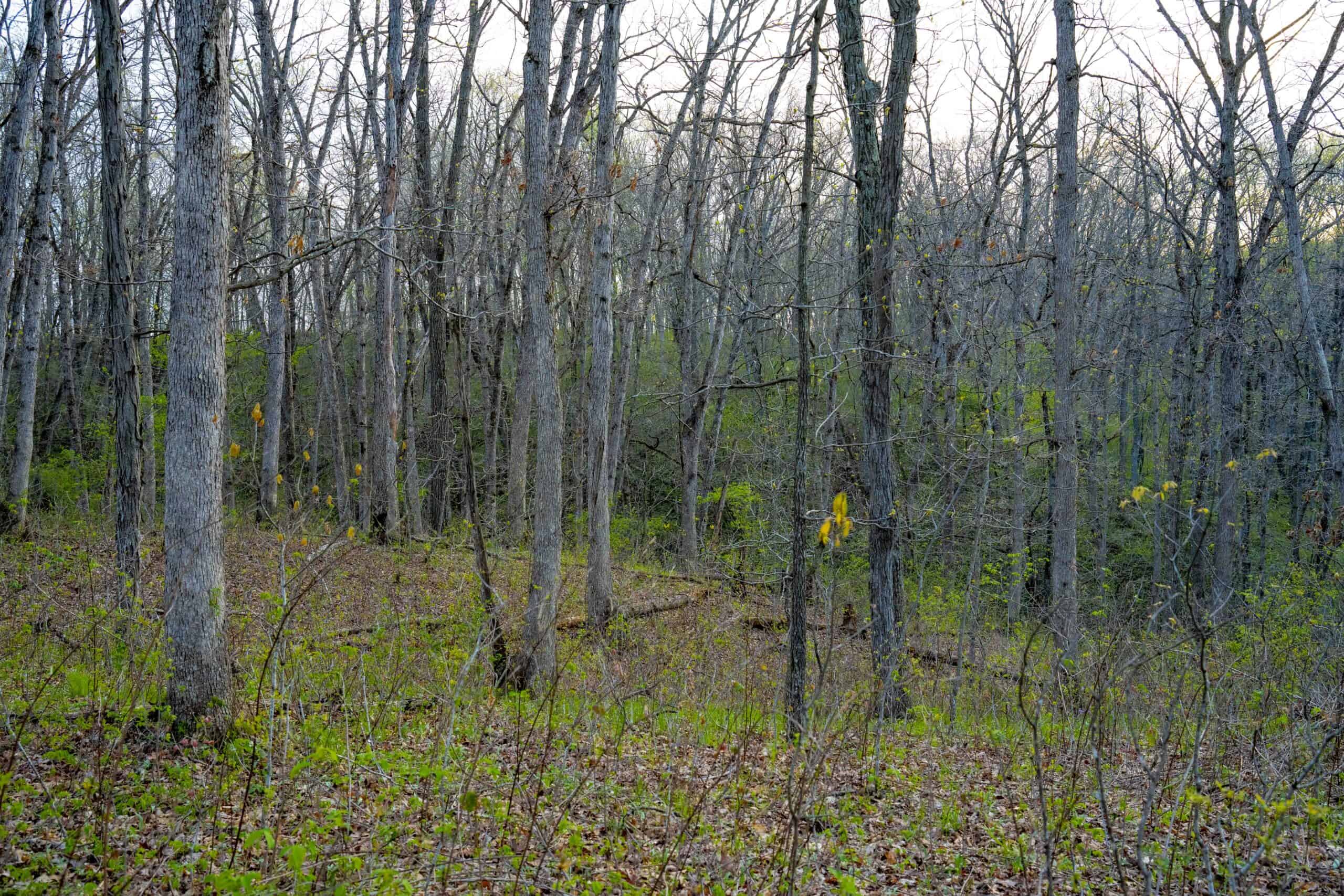 Premier Hunting Parcel in Clark County, Missouri