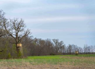 66-Acre Hunting Property in Northwest Clark County, Missouri