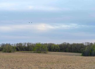Prime Hunting and Income Property in Clark County, MO