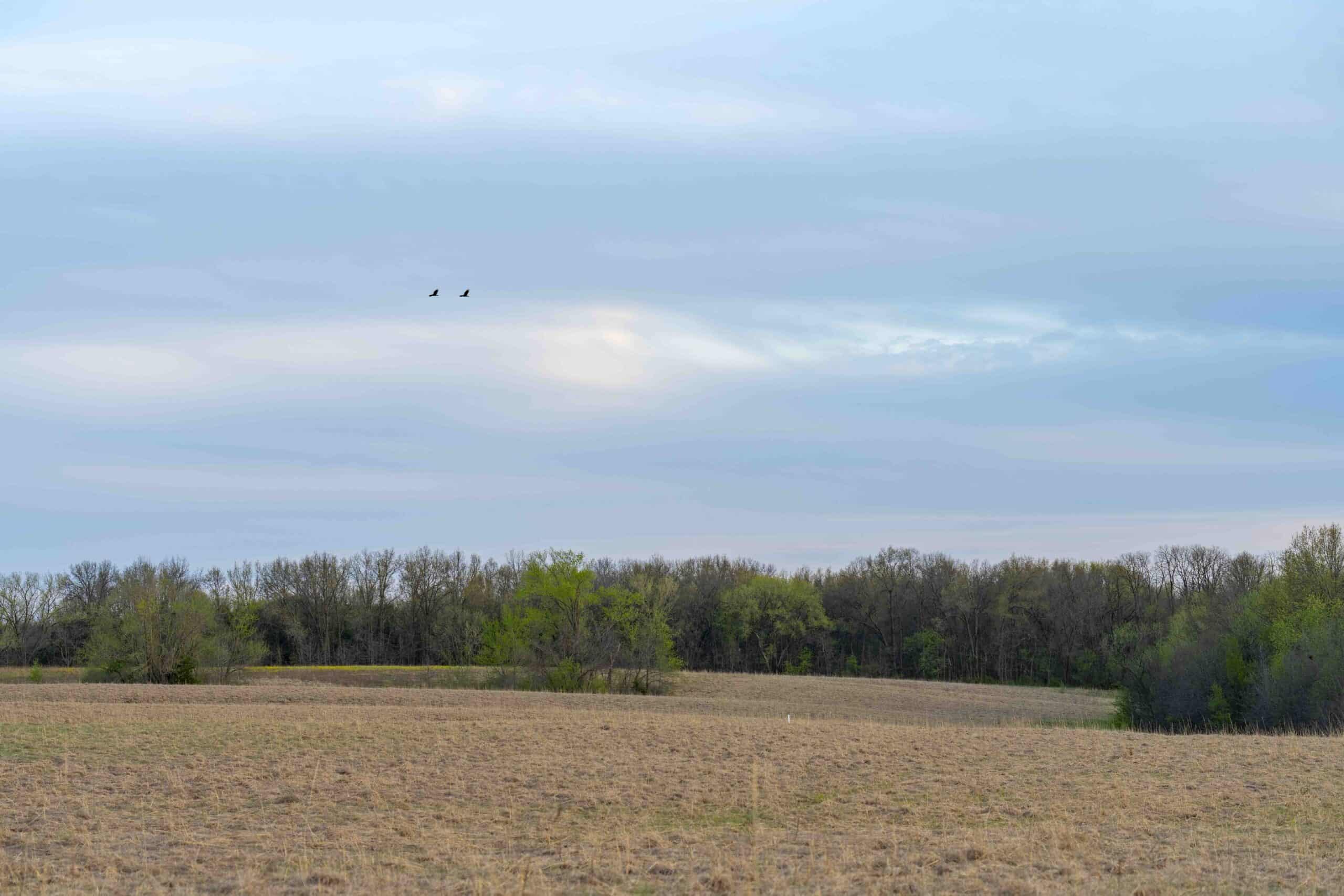 Prime Hunting and Income Property in Clark County, MO