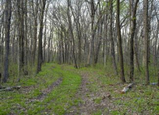 Premier Hunting Parcel in Clark County, Missouri