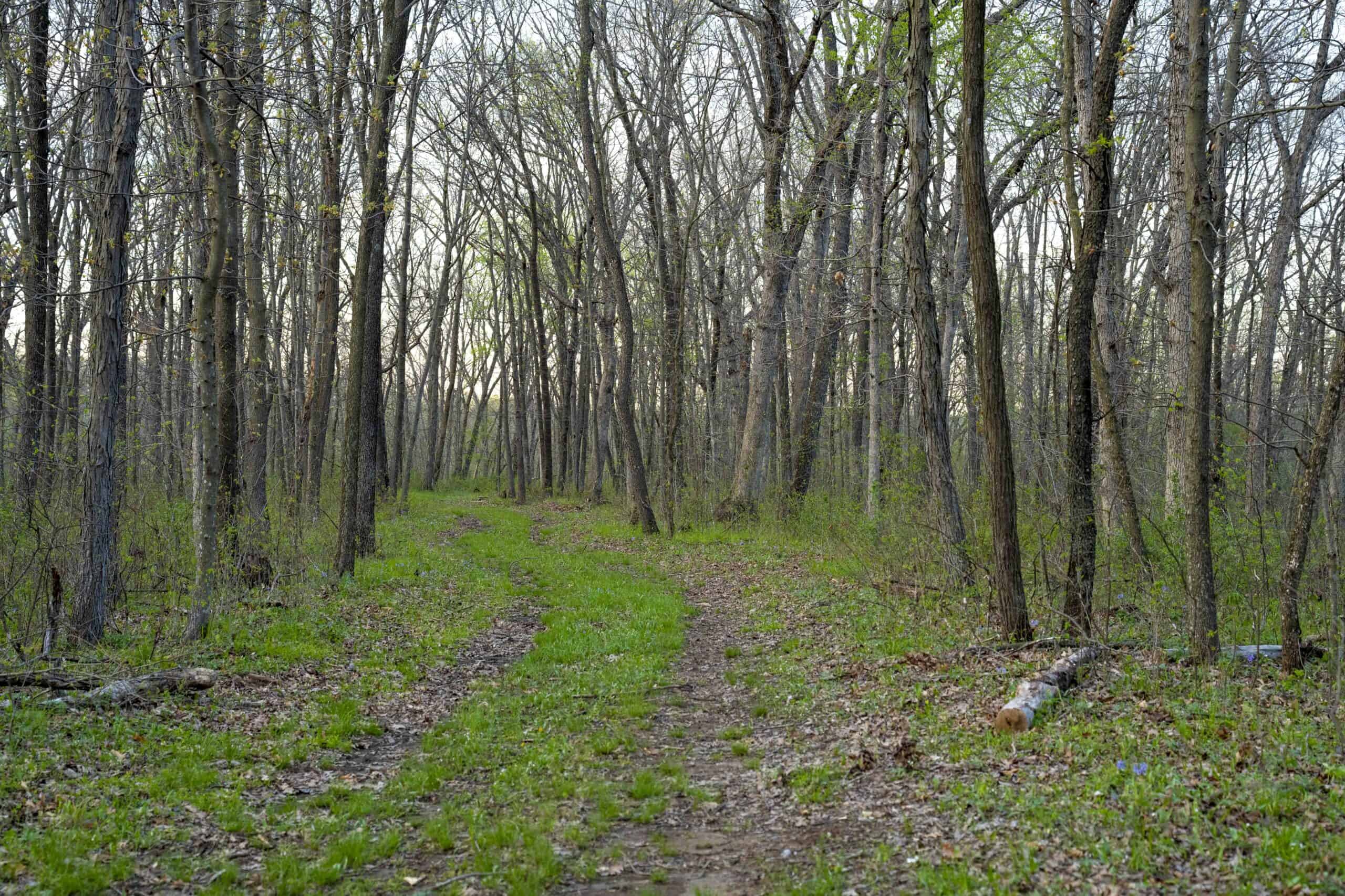 Premier Hunting Parcel in Clark County, Missouri