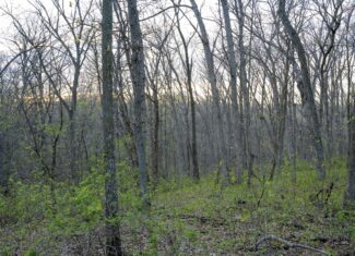 Premier Hunting Parcel in Clark County, Missouri