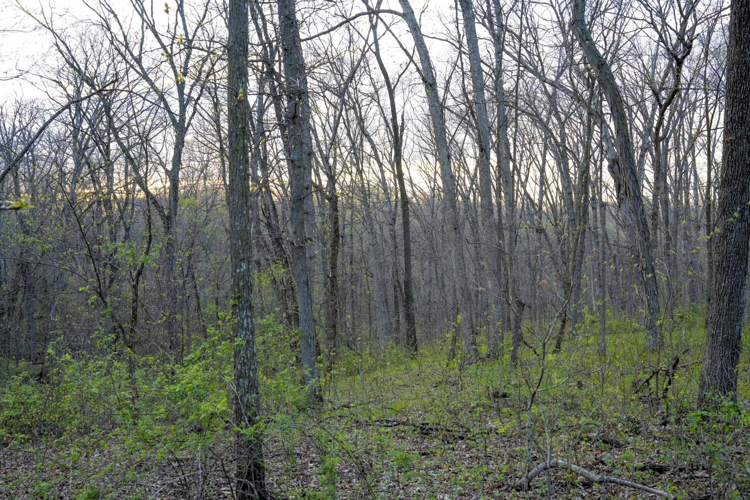 Premier Hunting Parcel in Clark County, Missouri