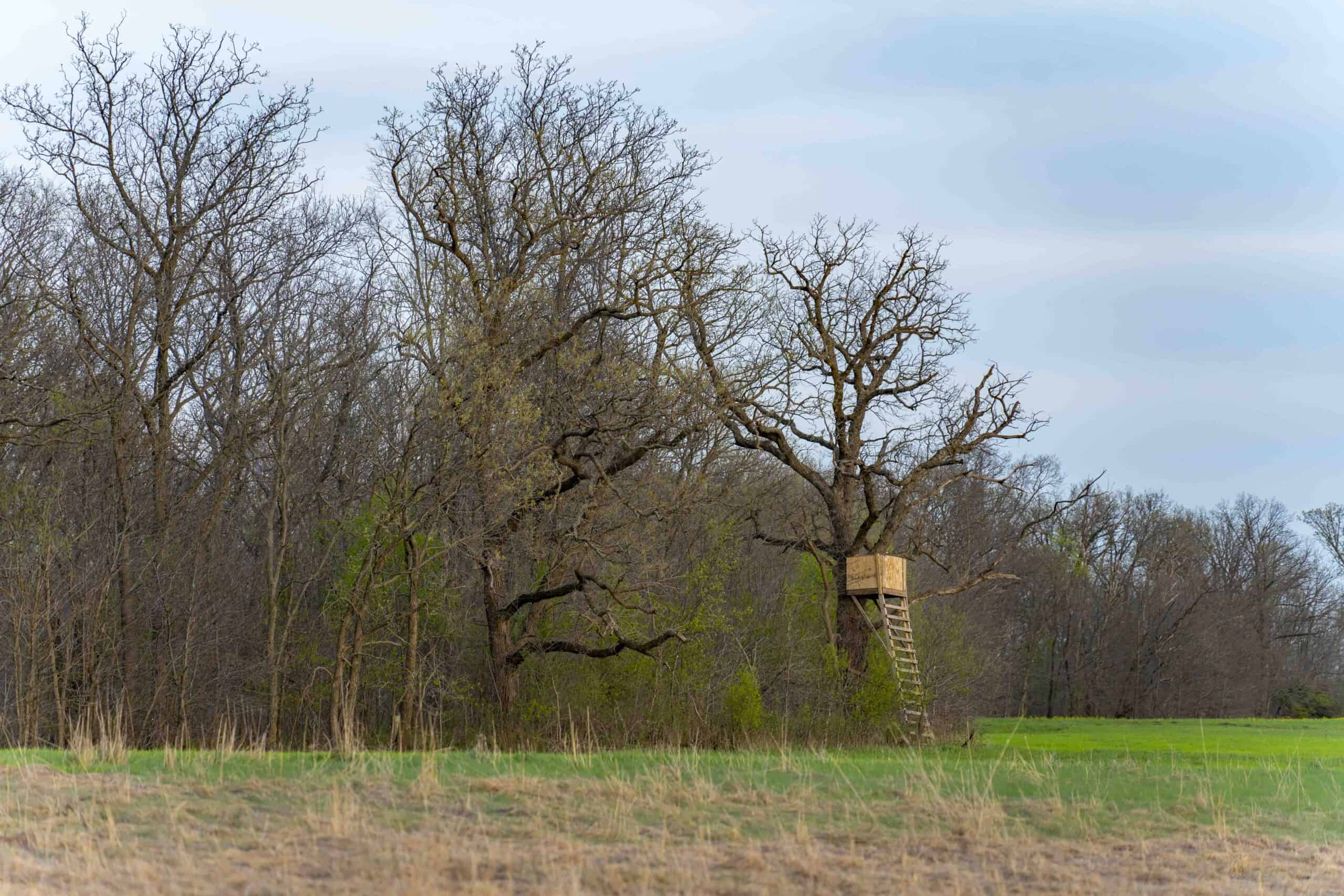 66-Acre Hunting Property in Northwest Clark County, Missouri