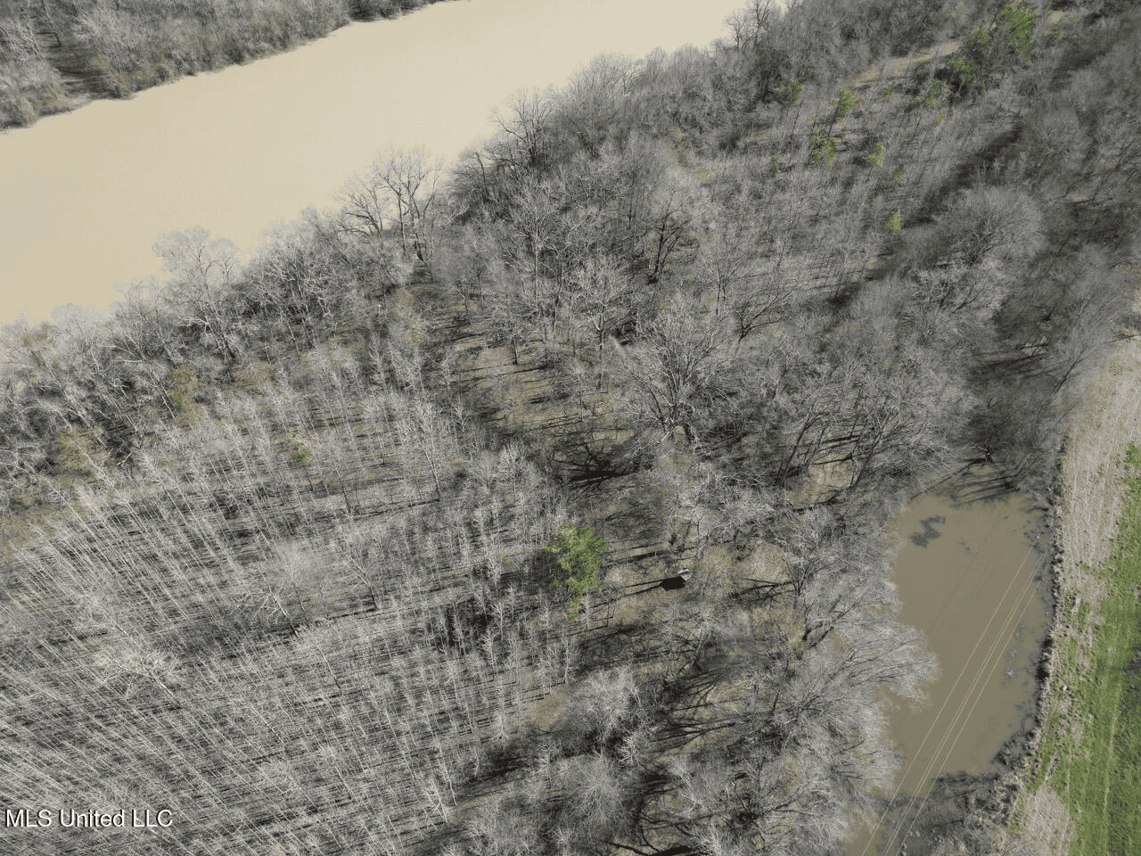 Tensas Riverfront Hunting Land Concordia Parish, LA