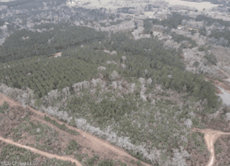 16 Acre Homesite in Magnolia, MS Pike County
