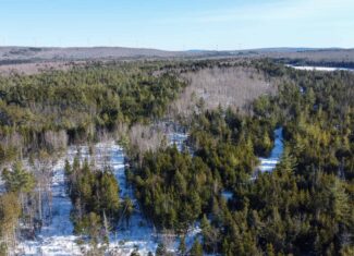 42.9 Acre Off-Grid Parcel – Prentiss, Maine