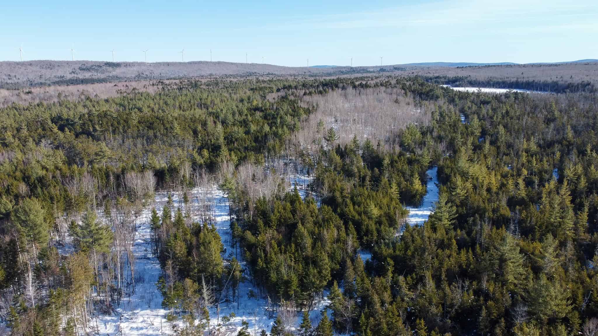 42.9 Acre Off-Grid Parcel – Prentiss, Maine