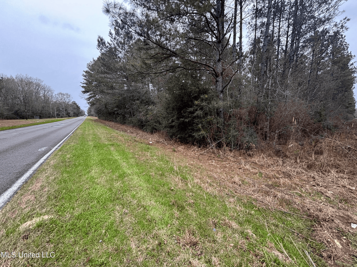 18 Acre Homesite in Magnolia, MS, Pike County