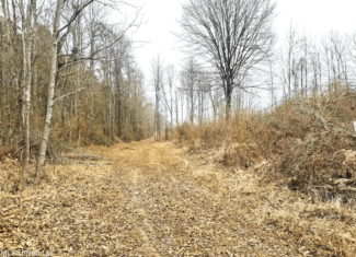 Hunting & Homesite Land Near Tylertown, MS