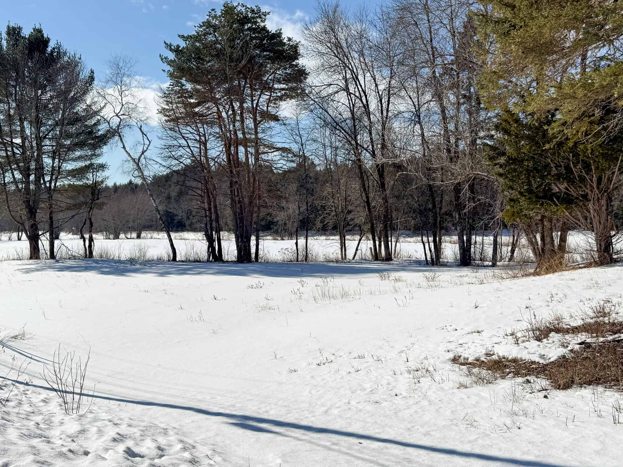 62± Acres with Over a Mile River Frontage in Maine’s North Woods