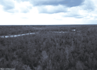 700 Acres in Allen Parish, Louisiana