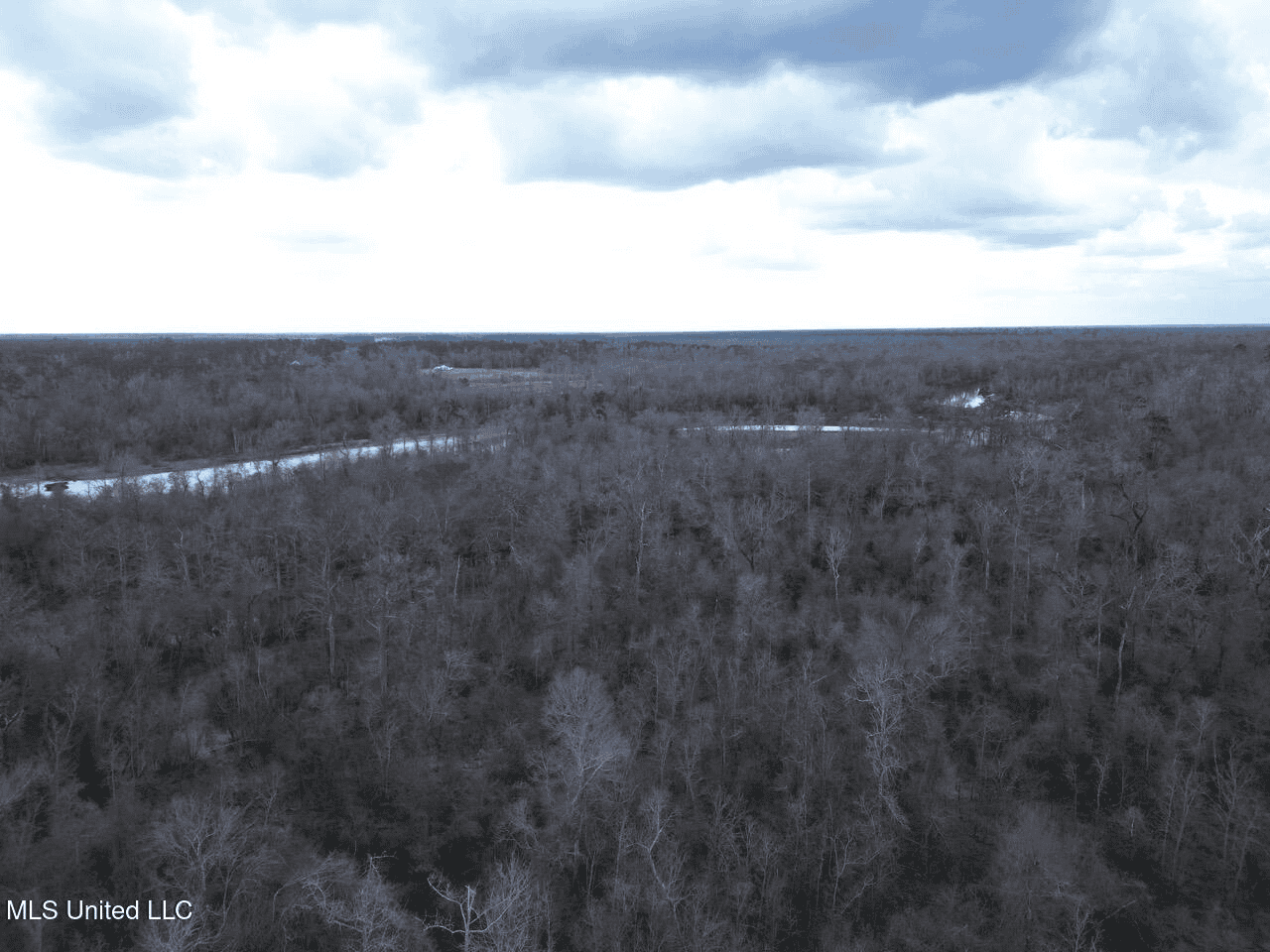 700 Acres in Allen Parish, Louisiana