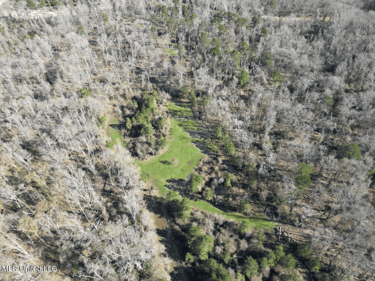 255 Acres East Baton Rouge Parish Near Zachary, LA