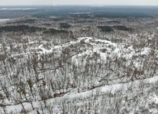 81.54± Acre Parcel in the Town of Clearfield, Juneau County