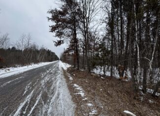 120± Acre Property in the Town of Clearfield, Juneau County