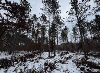 120± acre tract in the Town of Clearfield, Juneau County