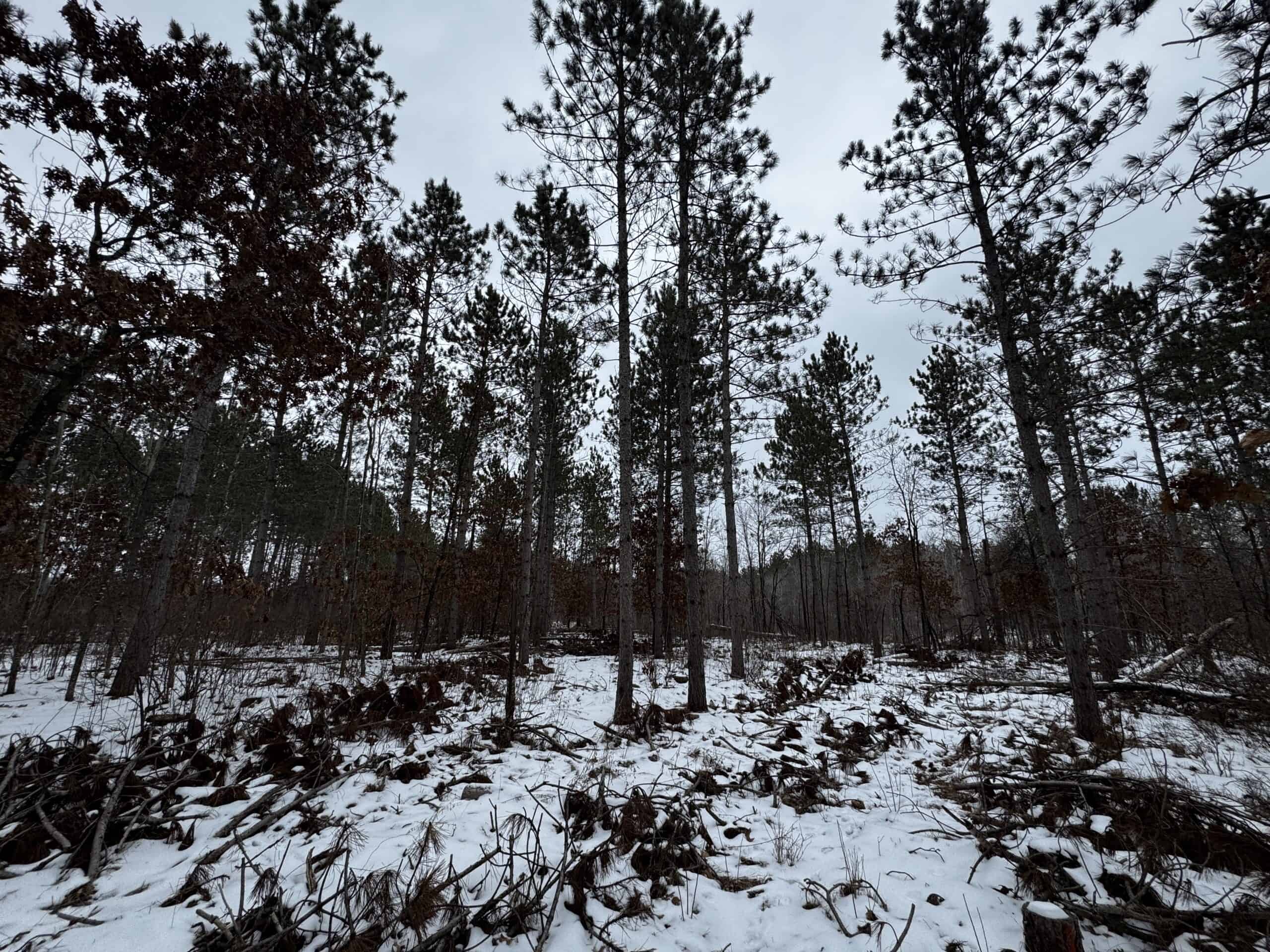 120± acre tract in the Town of Clearfield, Juneau County