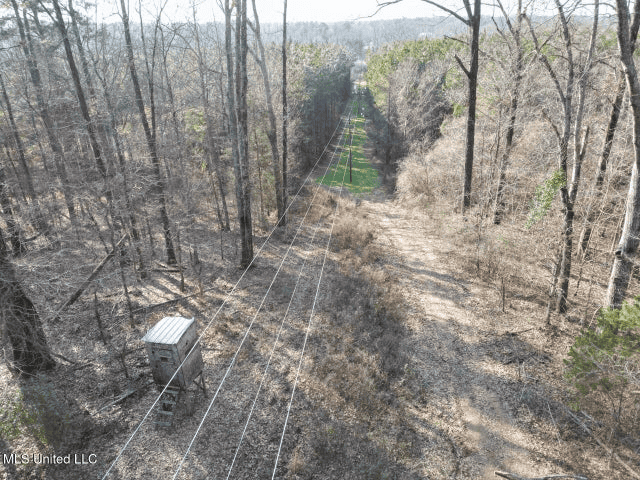 140 Acres with Farmhouse in Lorman, Mississippi