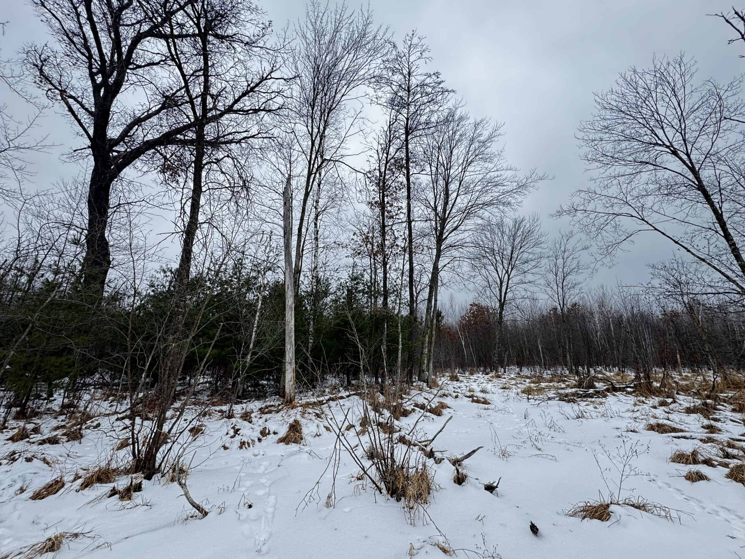 120± Acre Property in the Town of Clearfield, Juneau County