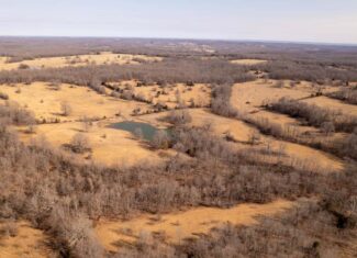 Prime Hunting Acreage in the Arkansas Ozarks