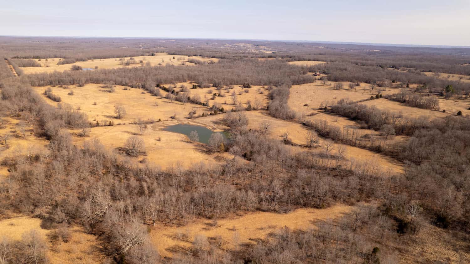 Prime Hunting Acreage in the Arkansas Ozarks