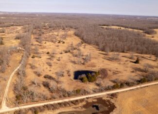 Prime Hunting Acreage in the Arkansas Ozarks