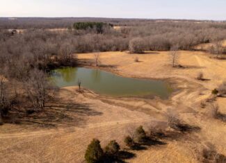 Prime Hunting Acreage in the Arkansas Ozarks