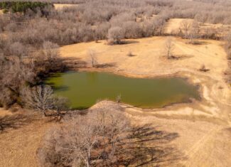 Prime Hunting Acreage in the Arkansas Ozarks