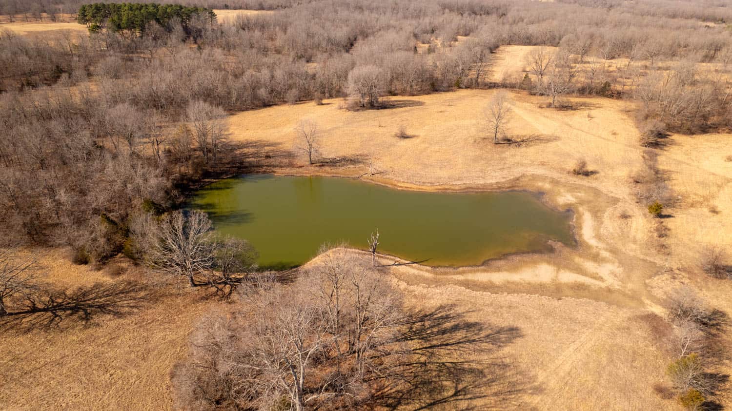 Prime Hunting Acreage in the Arkansas Ozarks