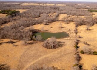 Prime Hunting Acreage in the Arkansas Ozarks