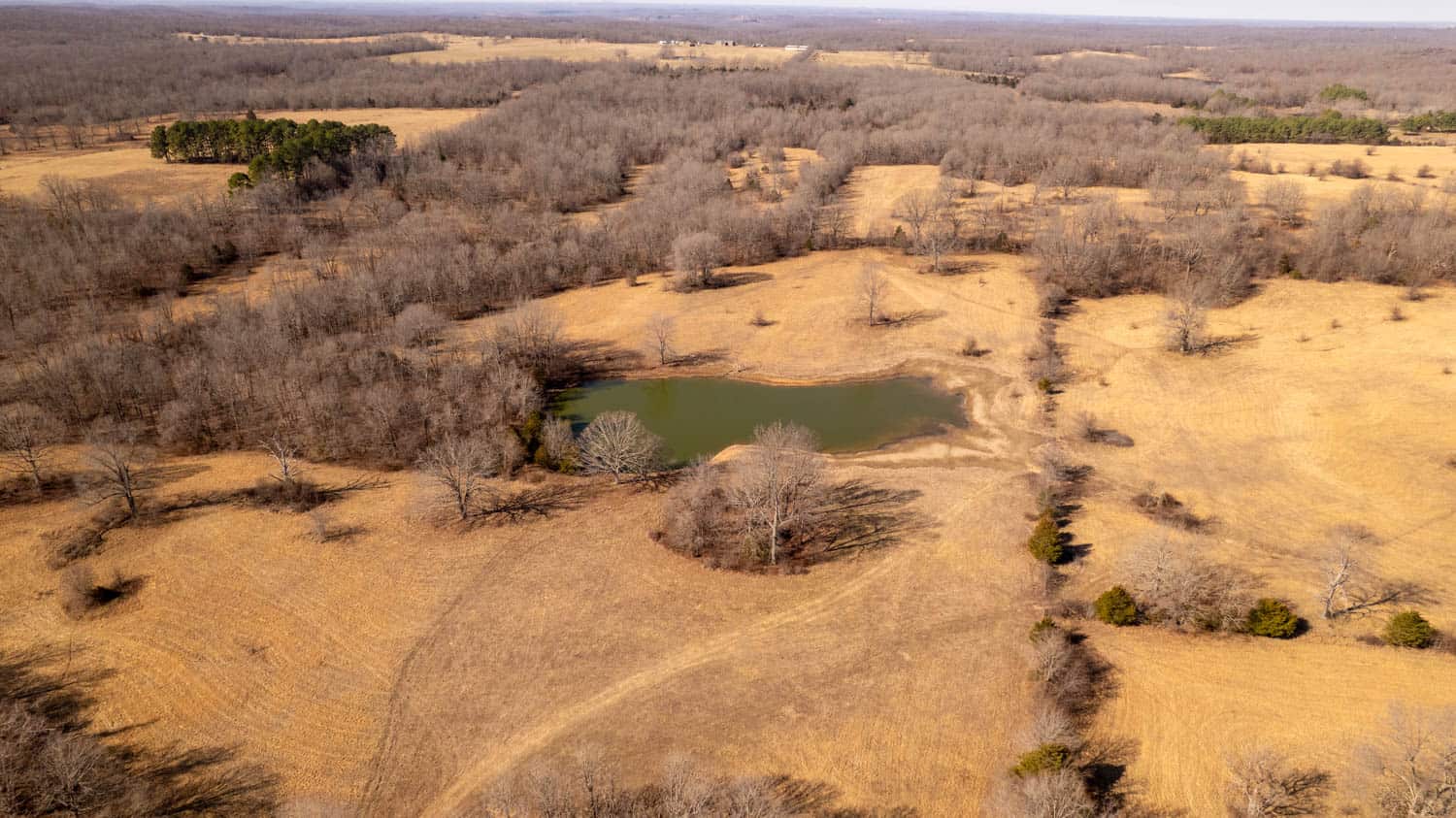 Prime Hunting Acreage in the Arkansas Ozarks