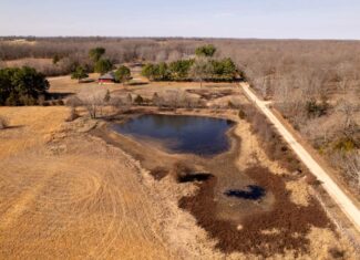 81 Acres in the Arkansas Ozarks